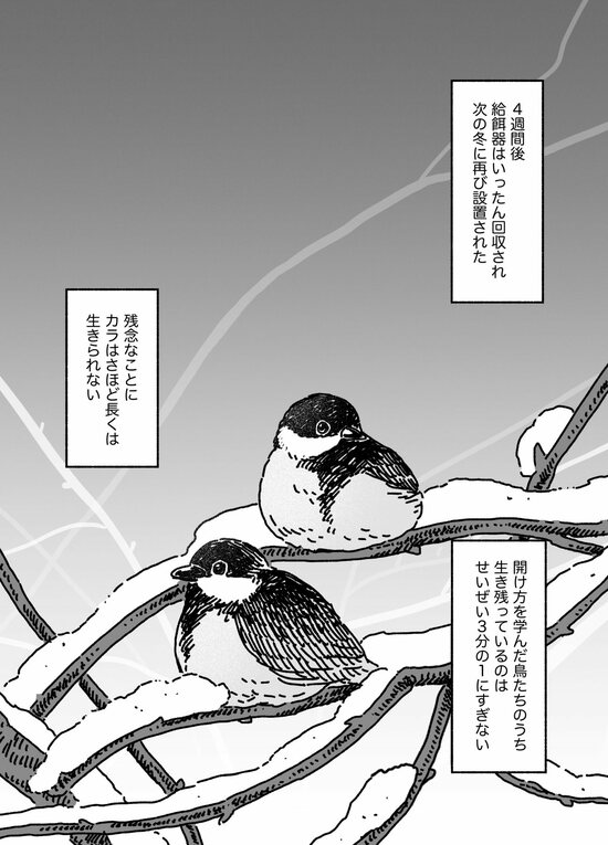 【マンガ】洞窟で冬眠から目覚めたばかりのコウモリの頭蓋骨をクチバシで破り、汁気の多い脳を食べる「すごい鳥」とは？