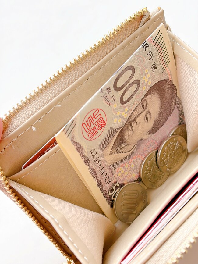 ガバッと開いて使いやすい！ワークマンの「コンパクトな財布」お会計がスムーズになった！