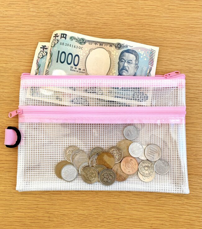 おくすり手帳やカード60枚がすっぽり…！ダイソーの“ぺたんこポーチ”処方薬や病院書類を入れるのにもピッタリ！《購入レビュー》
