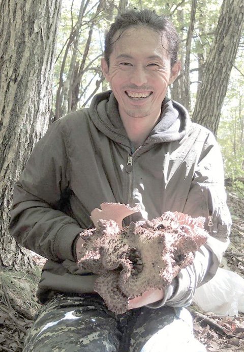 谷田圭太,香茸