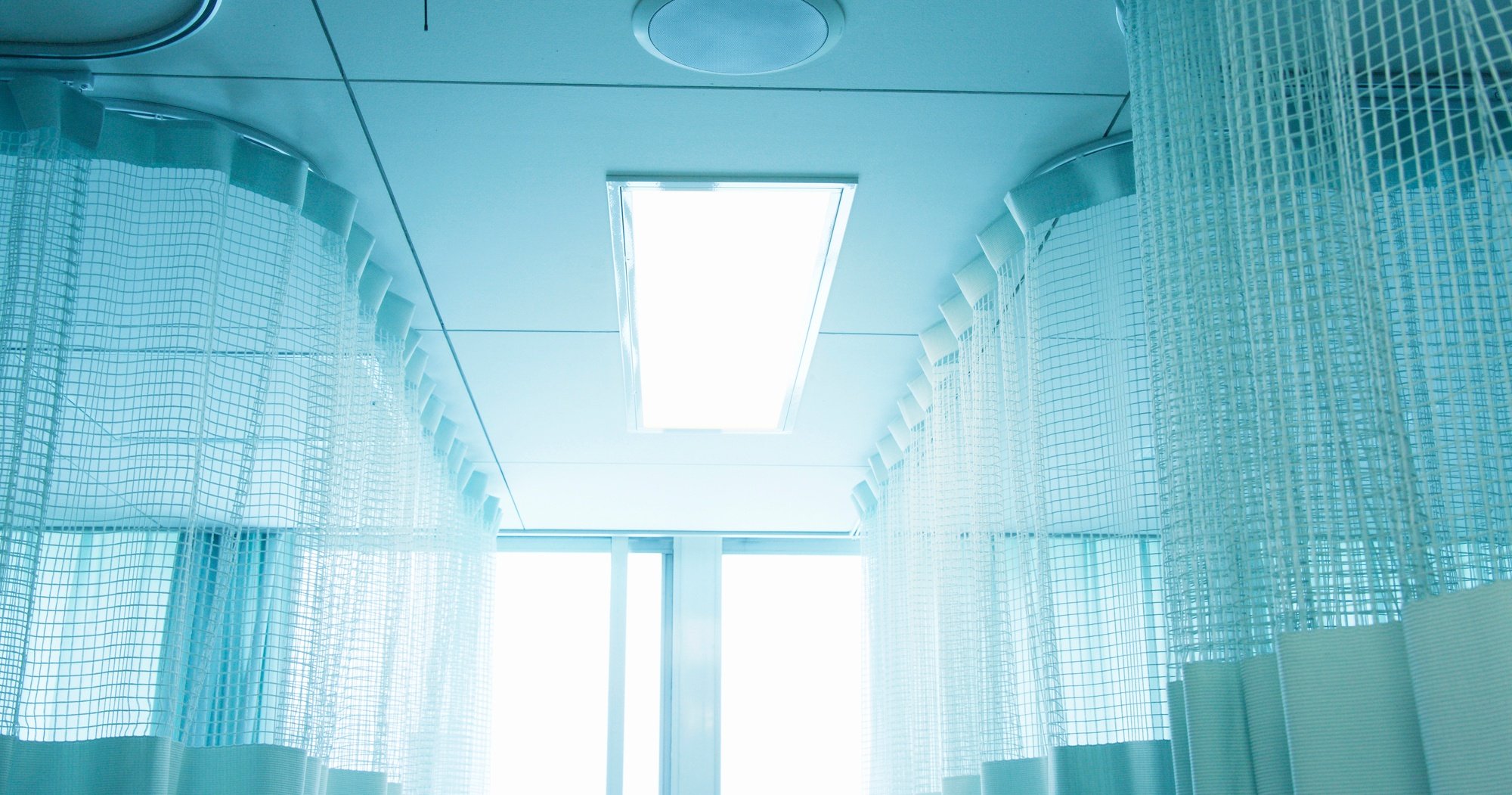 「グエー死んだンゴ」…がんで亡くなった22歳の予約投稿が、日本に“寄付の奇跡”を起こしたワケ