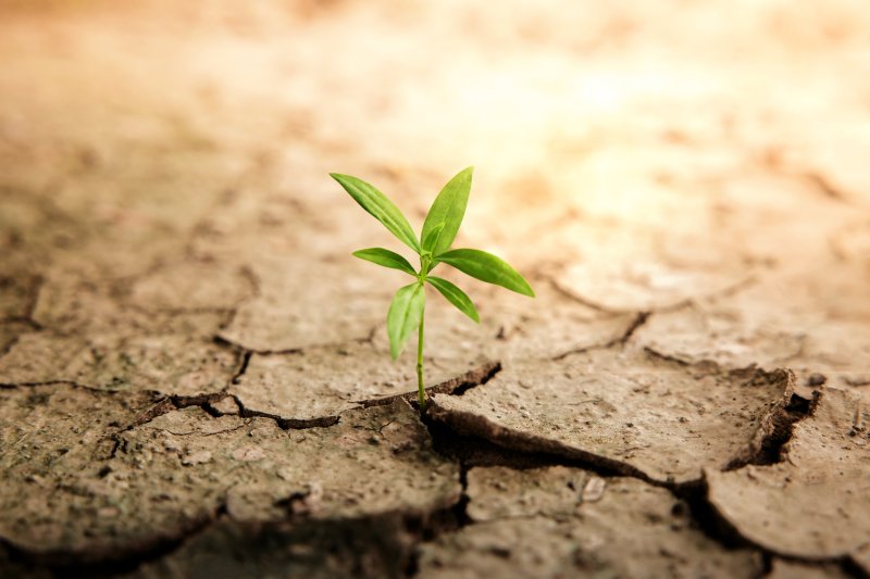 SDGs社会を生き抜く「最も大切な視点」とは？