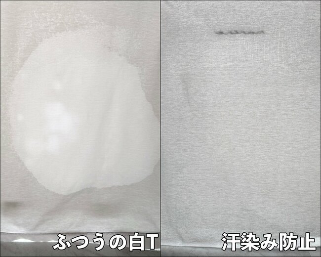 もう普通のTシャツには戻れない…しまむらの「汗染みが目立たないトップス」979円とは思えない優秀さ！《着用レビュー》