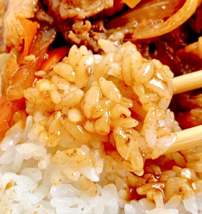 「このご時世にありがたい」「本当に助かってる」ほっともっとの“コスパえぐすぎ弁当”550円とは思えないおかず量でびっくり！「経営的に大丈夫なんかな」《実食レビュー》