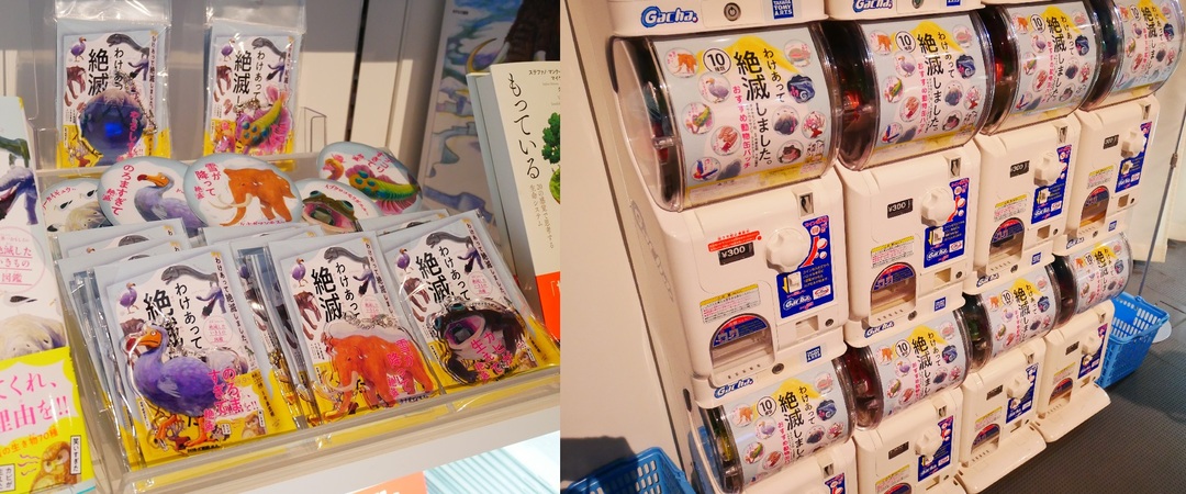 世界初が集結!話題のマンモス展のウラ側を取材