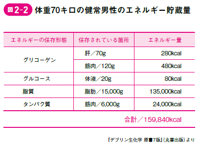 やせるために走るのはムダ、カロリー制限も無用