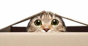 あなたが「できるリーダーかどうか」を試す、3つの質問