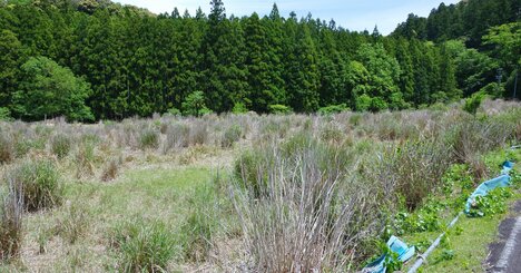 「いらない土地」の放置は超危険！ 法律改正で罰則ができました