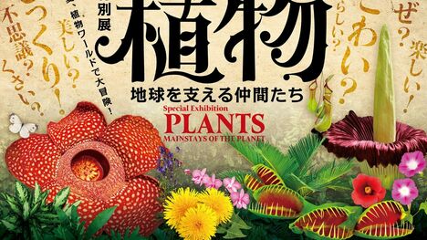 国立科学博物館「植物展」が面白い！DNAレベルで進化の系統樹が整理されていた