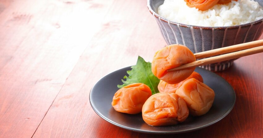 季節の兆しカレンダー