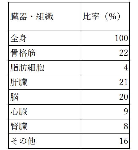 体の部位別の消費エネルギー（筆者作成）