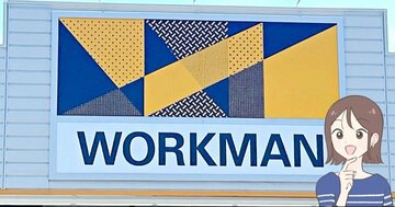 【ワークマン】アイスが6時間も溶けない“天才保冷アイテム”まるで冷蔵庫を持ち歩いているみたい!「暑い日でも1日中身が冷たいまま」「余裕で半日はカチカチです」「お茶も夜まで冷たかった」《購入レビュー》