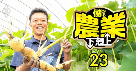 【無料公開】レンコン生産日本一の熊本の農家が広島進出で狙う「生産量2倍」、儲かる秘訣を直伝