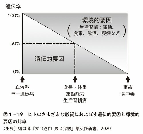 図表2:ヒトのさまざまな形質におよぼす遺伝的要因と環境的要因の比率