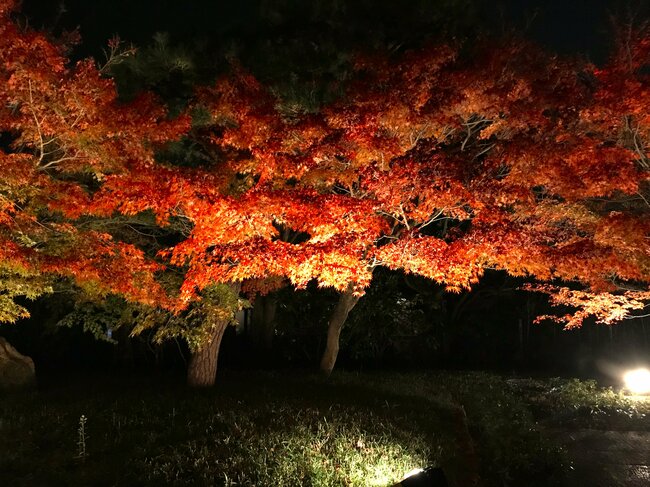 平等院