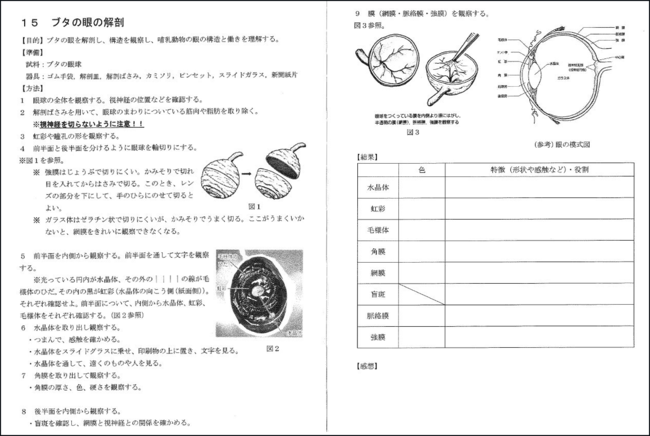 「新しい学力」の進化・拡大を図り、国家・社会に有為な人材を育成する