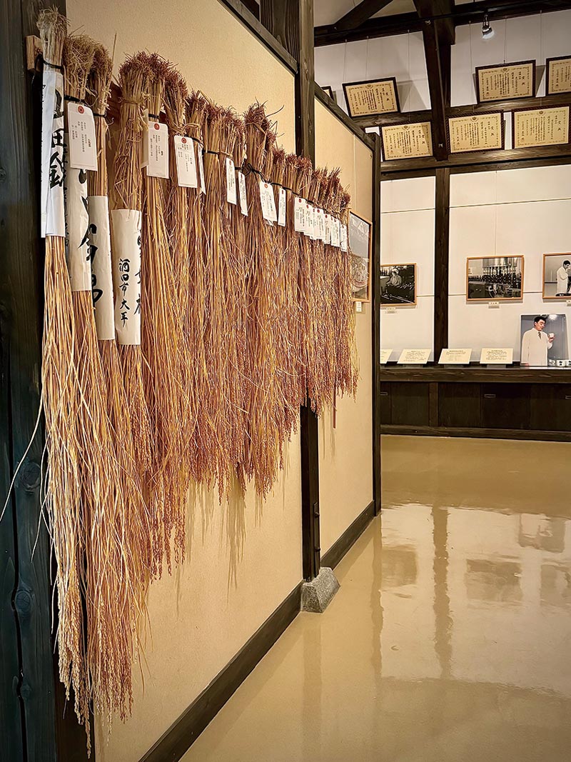 新日本酒紀行「初孫」