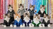 SnowManがSixTONESに圧勝、スノスト人気が逆転したワケ