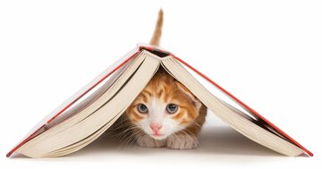 人気予備校講師が「この本、むっちゃ面白いから毎日気晴らしに少しずつ読んでるんだけど、一番驚くのが700ページ超で本体2000円。今の時代にこれは価格破壊なのでは?」と投稿しSNSで大反響となった一冊とは?【書籍オンライン編集部セレクション】