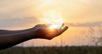 美意識を磨くために、とても重要な人間の感覚器官は何か?