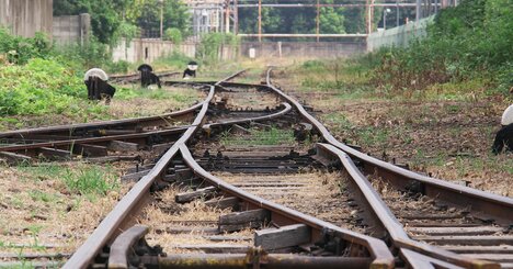 「漫画家になる夢を諦めた僕が、なぜ漫画家になれたのか」弘兼憲史が説く「人生、諦めが肝心」論