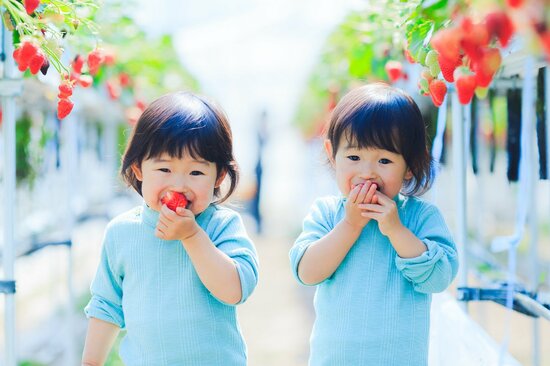 【小児科医が教える】「食物繊維を摂取した子、しなかった子」。便秘以上に重要な、成人後に表れる差とは