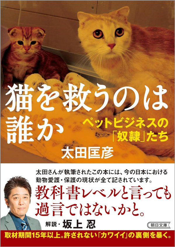 猫を救うのは誰?無責任な「かわいい」の裏にあるペットビジネスの闇