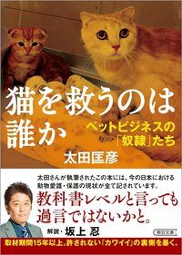 猫を救うのは誰？無責任な「かわいい」の裏にあるペットビジネスの闇