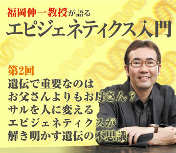 【第2回】遺伝で重要なのはお父さんよりもお母さん？サルを人に変えるエピジェネティクスが解き明かす遺伝の不思議