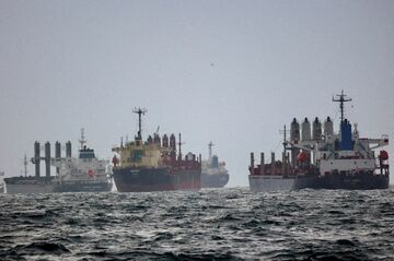 ウクライナ、トルコに貨物船拿捕を要請　国内で盗まれた穀物輸送か