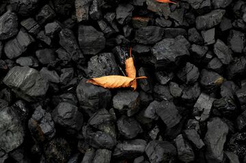 米のエネルギー輸出増、国内で減る在庫の影響は