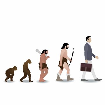 「人類の最初の道具は石ではなく植物だった」!?人類進化の空白の300万年に何が起きたのか