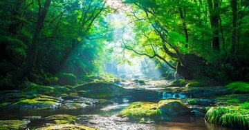 なぜ、一流は人生の本質を探るために自然に触れるのか?