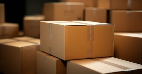 祖母の遺産は「2000体のアレ」だった...強迫的なコレクションを受け取った男性、大困惑も「驚きの価値」が？