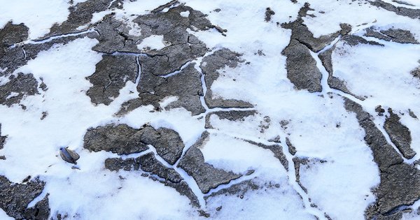 ロシアでは永久凍土が解けて炭疽菌が広がった！