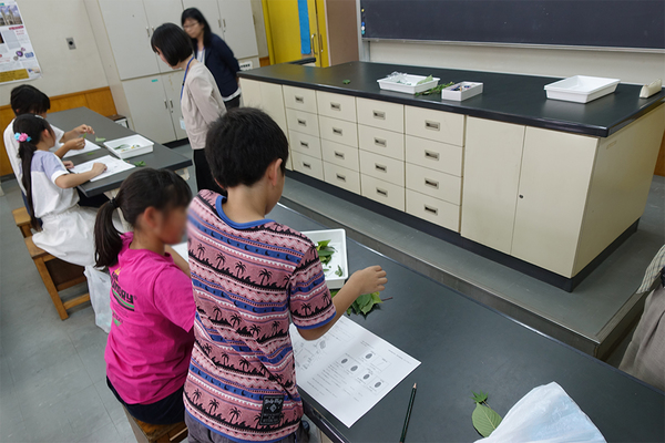 「親の瞬発力」が問われる、中高一貫校の体験授業