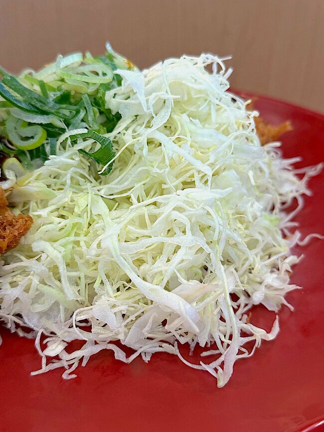 「めっちゃお腹いっぱい」「ハマります」かつやの“ボリューム満点メニュー”食べ応えバツグンで大満足！「安くて量も多く最高です」