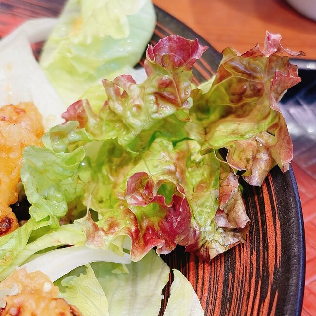 【大戸屋】お腹パンパンで苦しい…！お肉ぎゅうぎゅうの「わんぱくすぎるメニュー」1500kcal超えでボリューム満点！《実食レビュー》