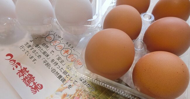 こだわりは「健康な鶏が産む健康な卵」調理のプロにも高評価。平飼い卵を生産販売