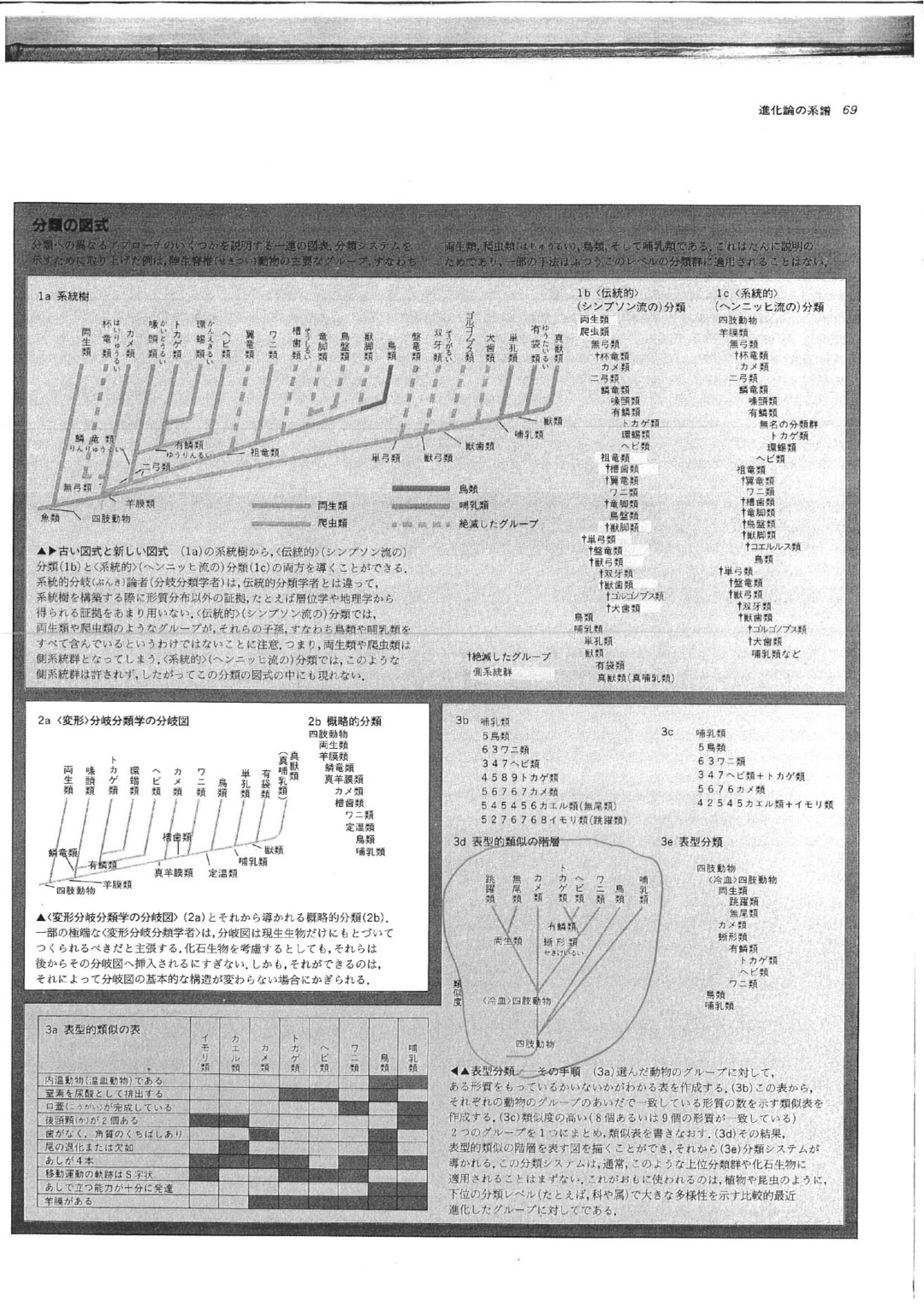 動物の進化樹 と 企業名 の密接な関係をわかりやすく表したインフォグラフィック 分類王 石黒謙吾の 発想を広げるインフォグラフィック思考 ダイヤモンド オンライン