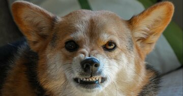 【会話で即バレ】なぜか「感じが悪い」と思われる人のたった1つの共通点