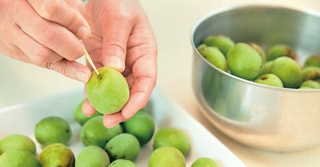 【昔の知恵ってすごい！】日々の不調を回復へと導く、梅を使った“自然のくすり”
