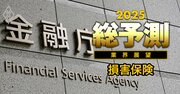 【25年の損保業界】メガ損保は「政策株放出」で兆円単位の売却益、成長領域への投資が急務