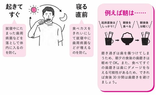 やせたいなら「歯磨き」が大事な理由、不十分だと太りやすい体質になることも