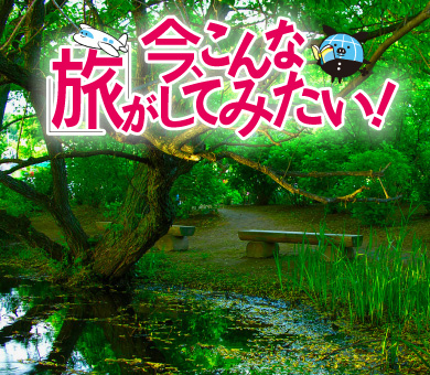 今、こんな旅がしてみたい!