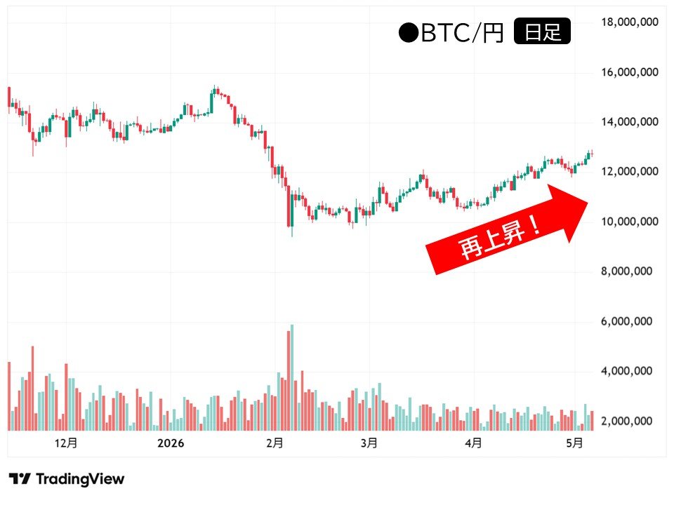 ビットコインBTC日足チャート