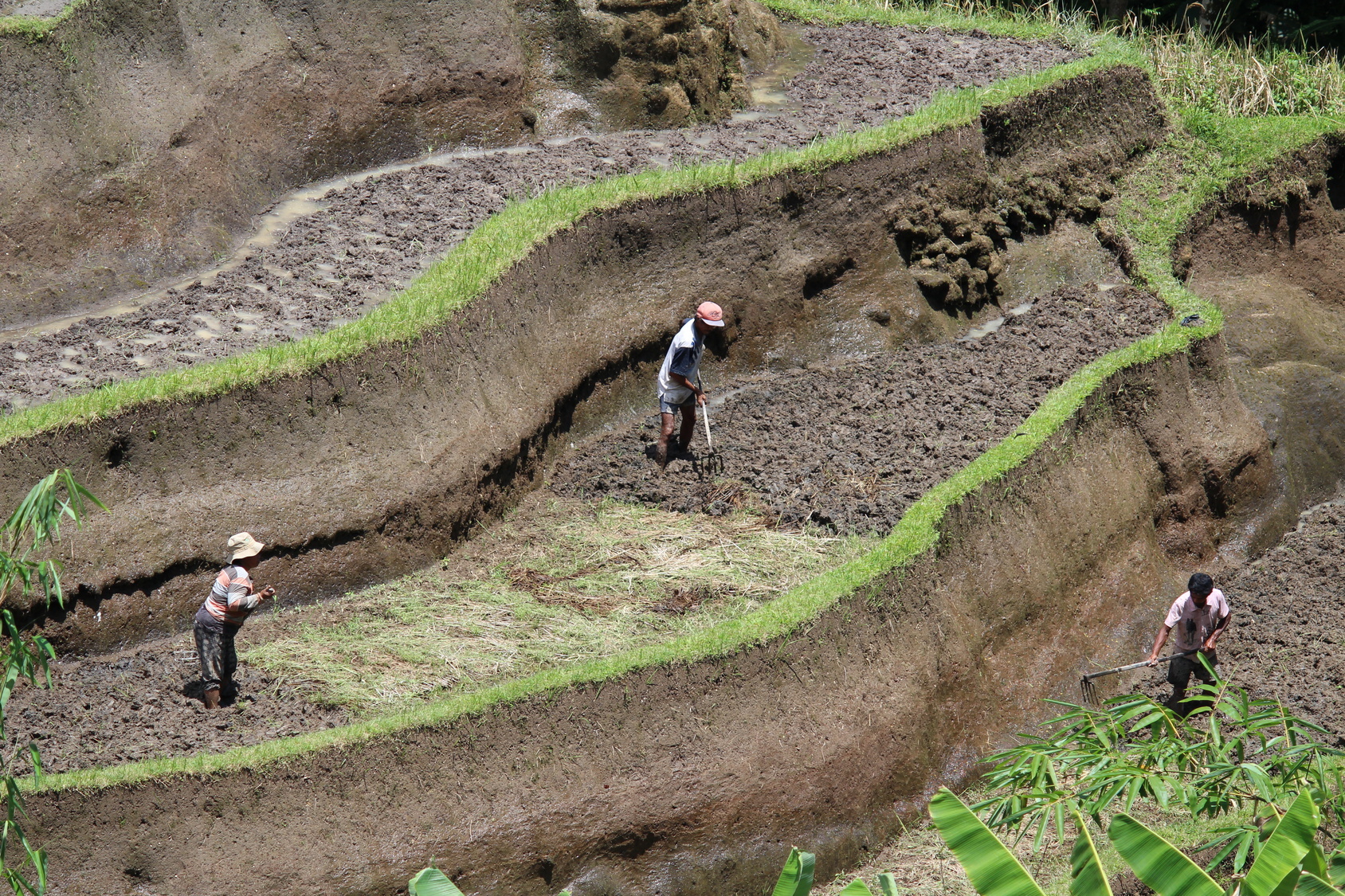 美輪明宏など「大地の二黒」だけに与えられた“強運への9の質問”究極のベスト3はこれだ!