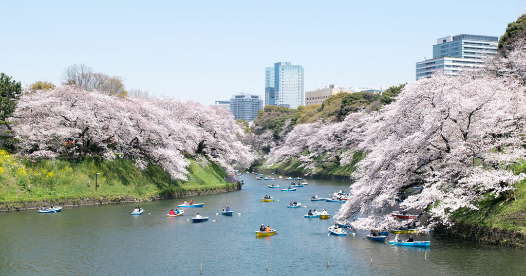 千代田区,小学校区