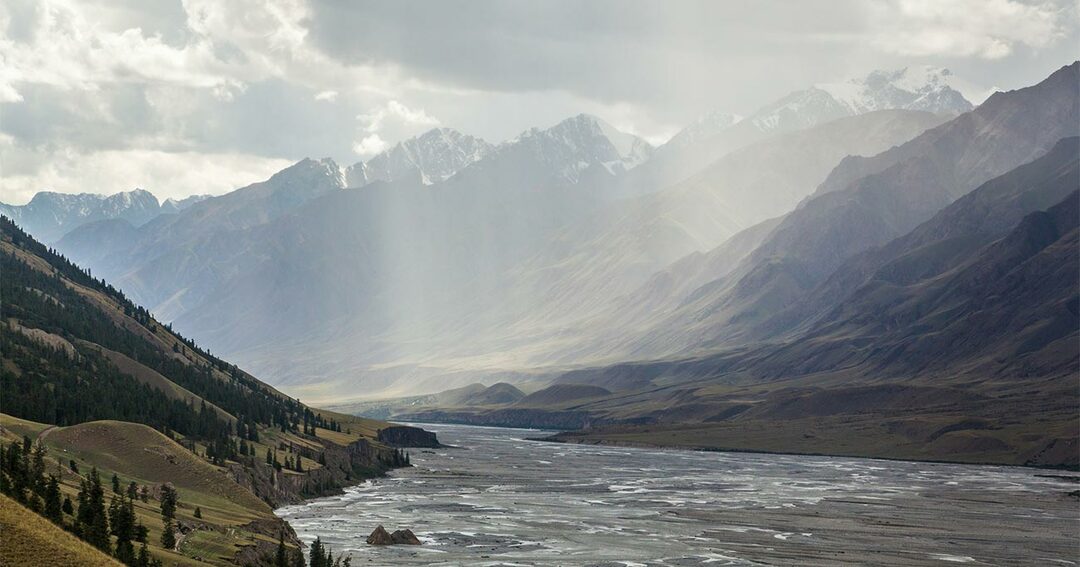 山