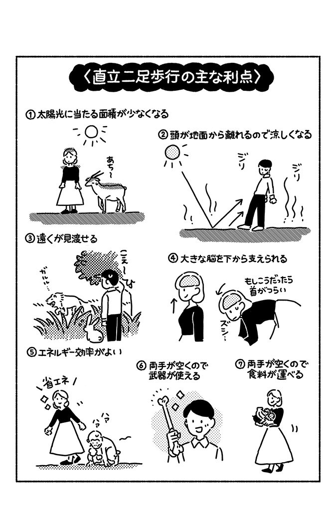 マンガでわかる「直立二足歩行」の7つの利点を知っていますか?